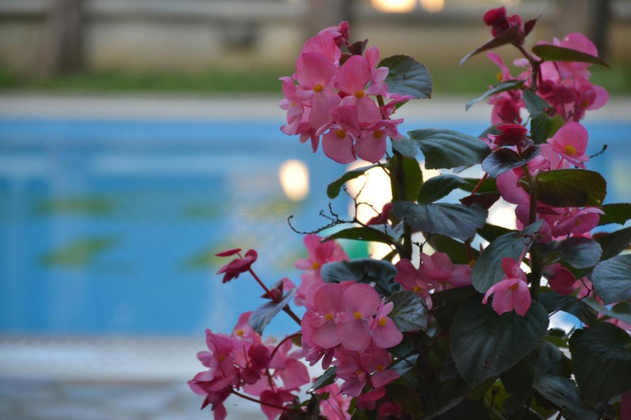 Corfu Hellinis Hotel Kanoni  Luaran gambar